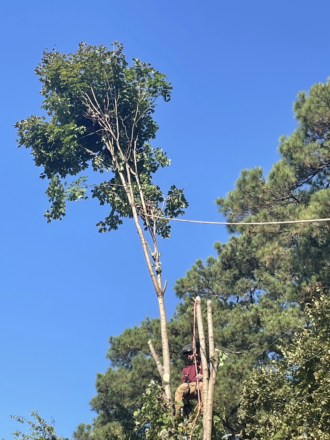 Climber tied in on a spar with a rigging line running out