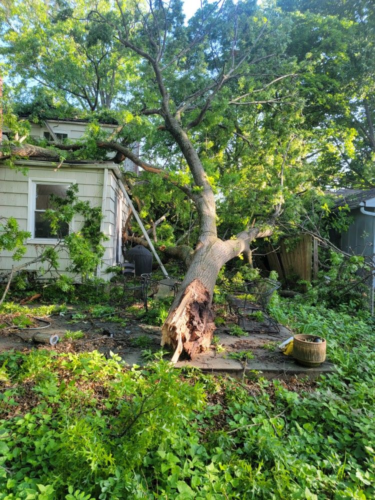 Storm-damaged tree across a roofline at night