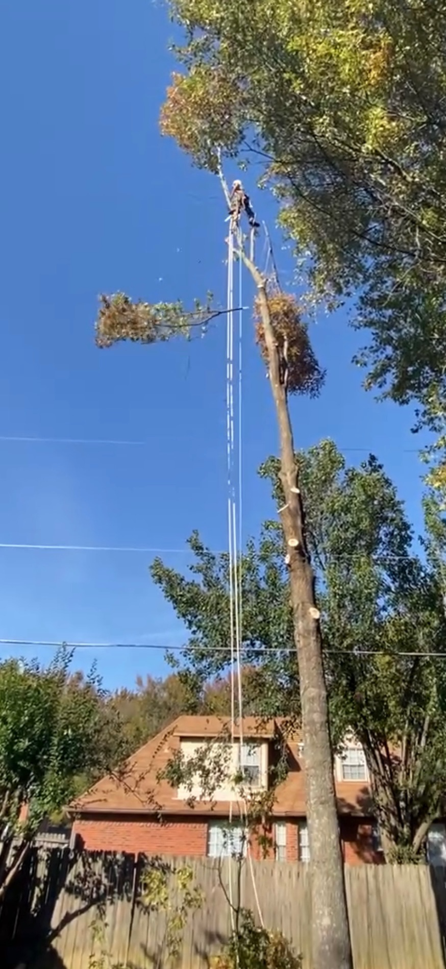 Climber working high above a rooftop on a removal