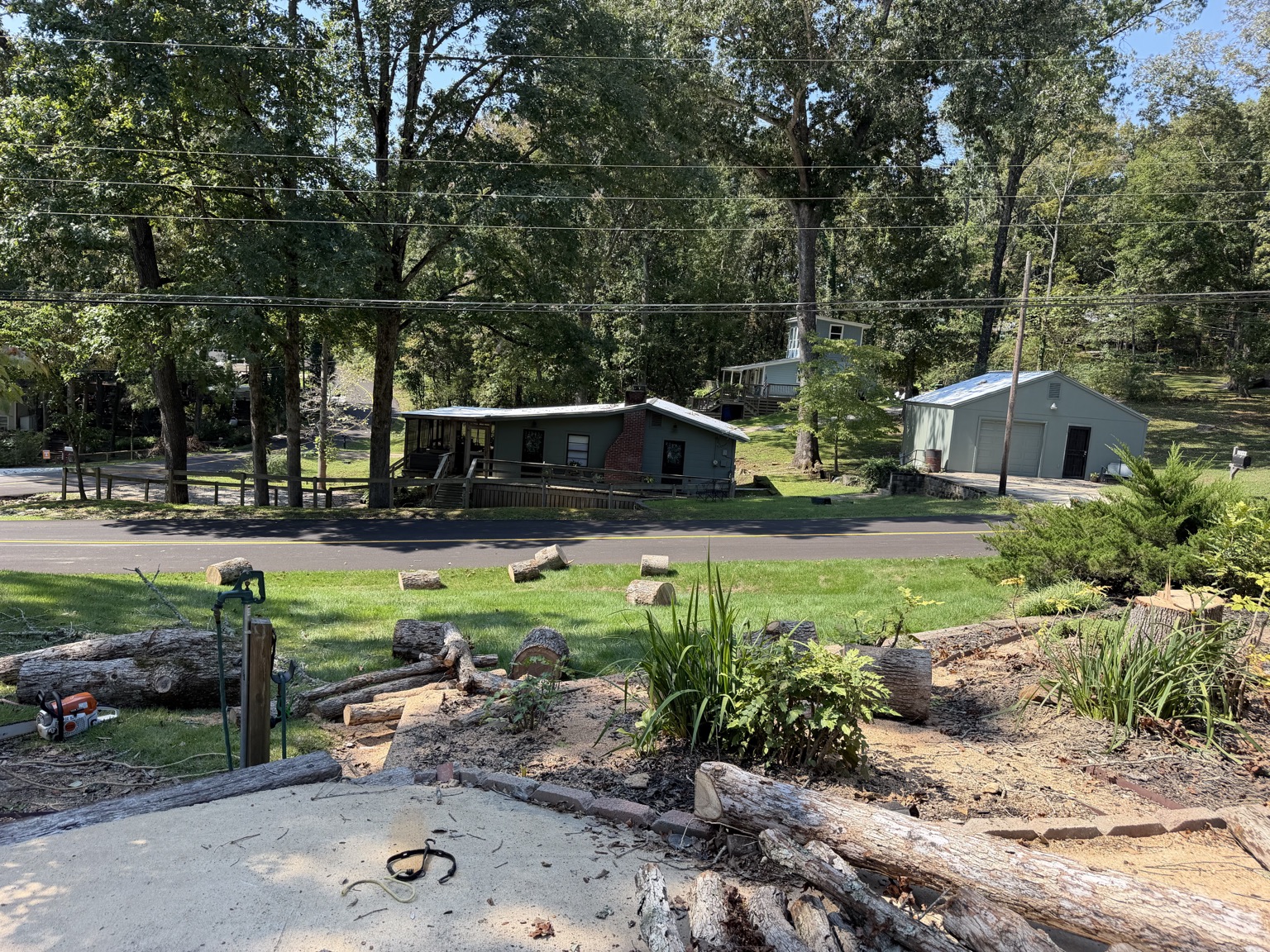 Cut logs stacked across a front yard after a removal