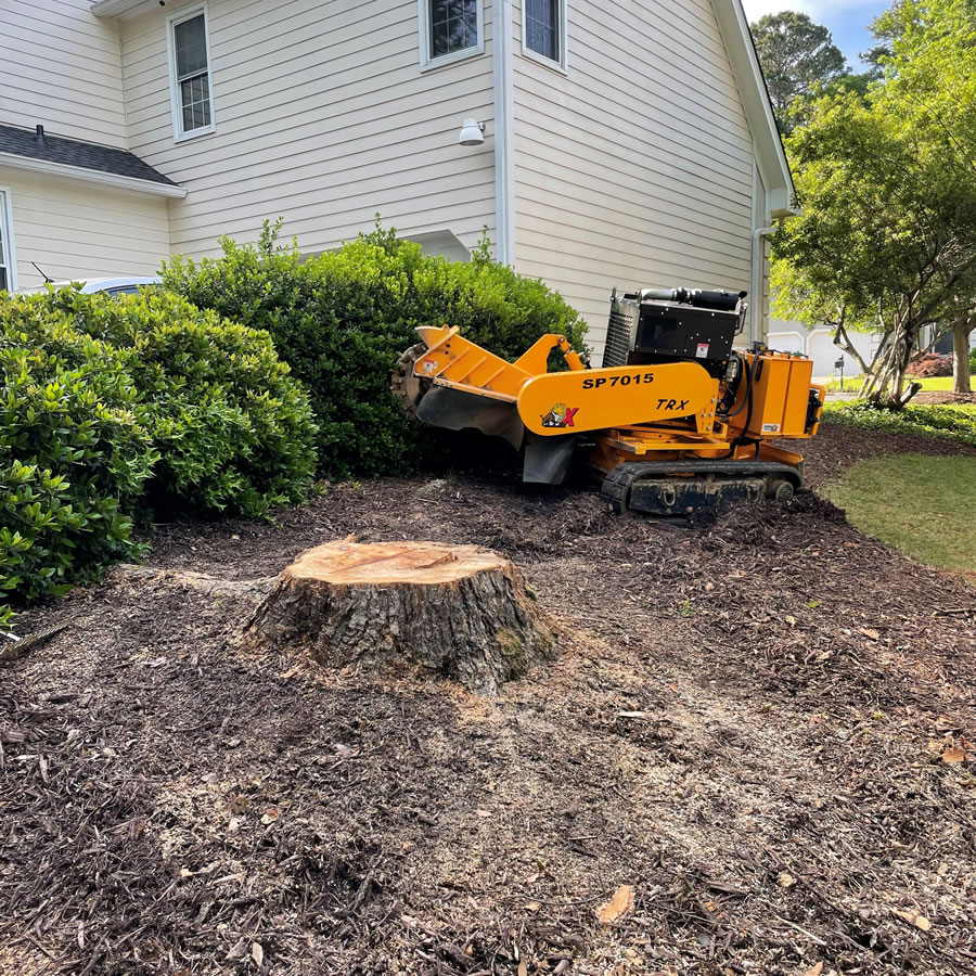 Stump grinding in a residential yard