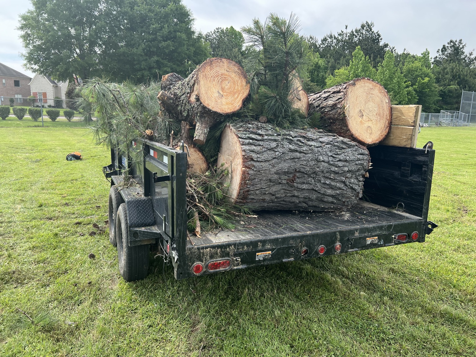 Cut logs and limbs loaded on the trailer at the end of a job